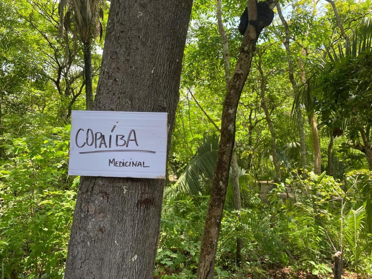 Ceu Da Terra